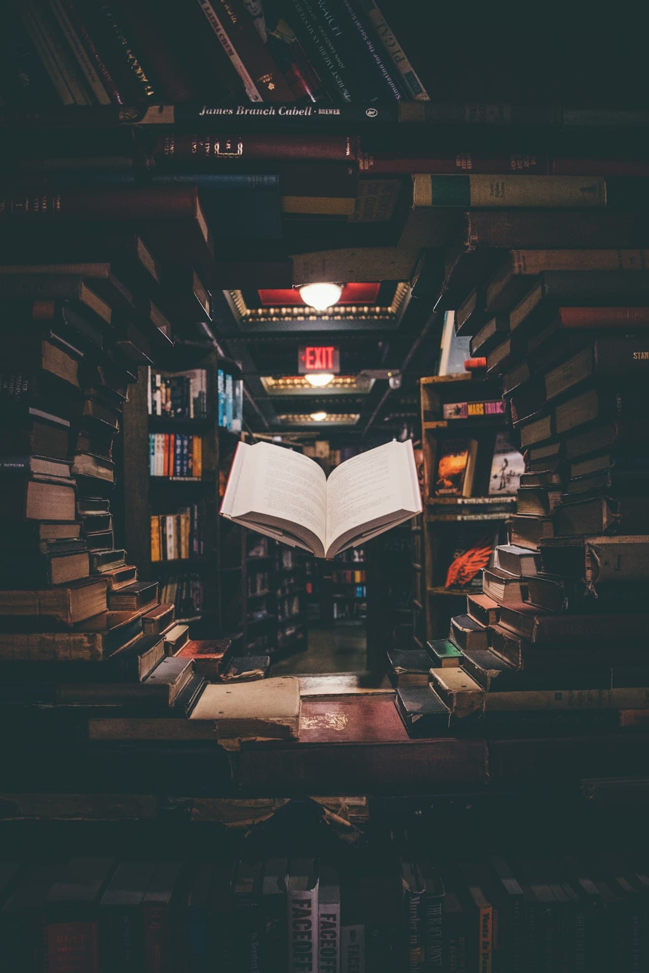 Bibliothèque juridique — procédure d'effacement du casier judiciaire